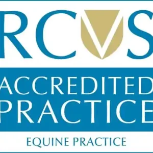 Buy RCVS Certificate online