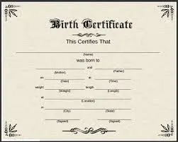 Fake Birth Certificate Online