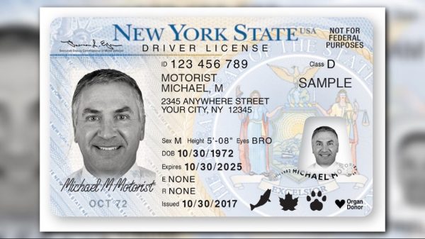 Driver’s license in USA