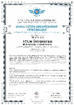 Turkish ATPL pilot license