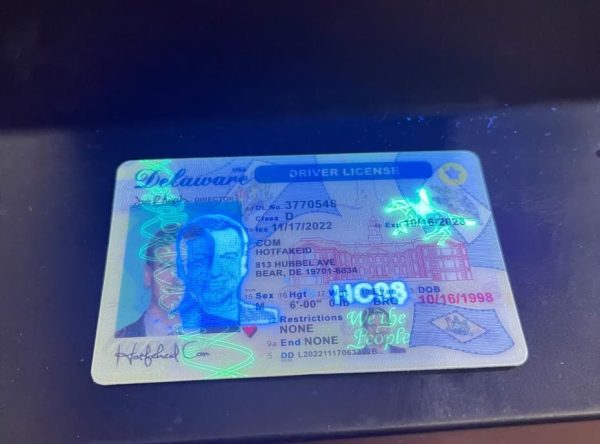 Delaware Fake ID