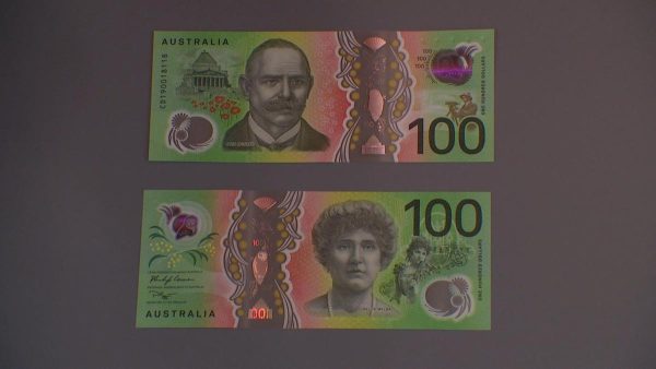 Fake Polymer 100 AUD bills