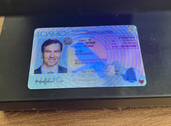 Idaho Fake ID