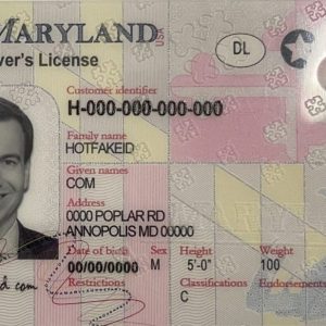 Maryland Fake ID Card