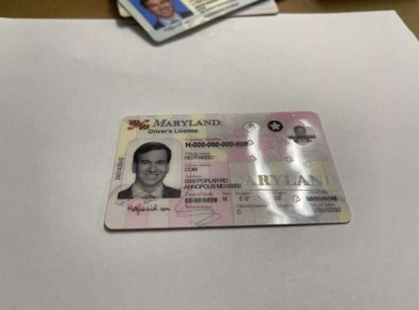 Maryland Fake ID Card for sale