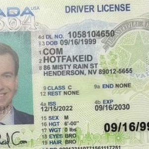 Nevada Fake ID card