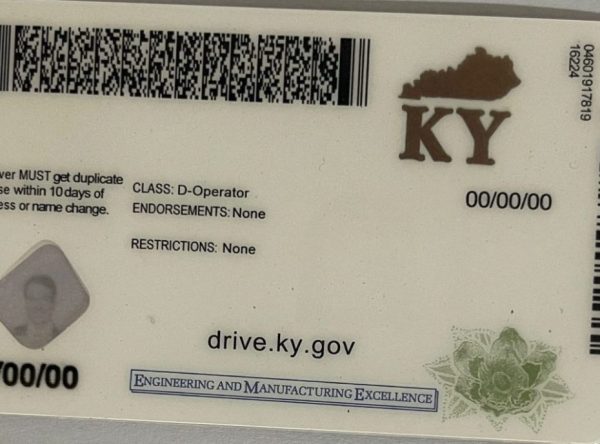 buy Kentucky Fake ID card